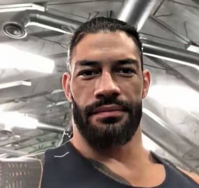 Roman Reigns ，An intriguing companion with a story waiting to unfold
